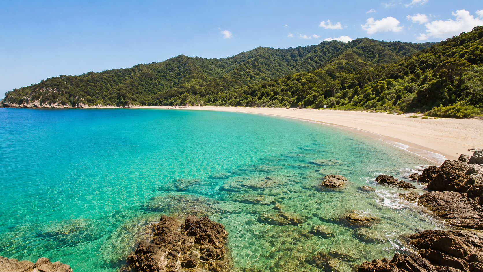 Golden sand beach and clear blue water in the Abel Tasman